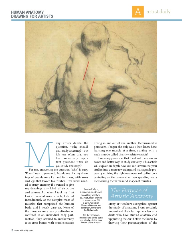 artistic anatomy by dr paul richer pdf